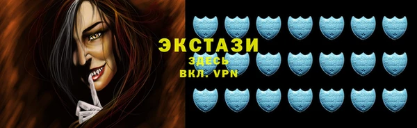 крисы Тында