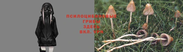 прущие крисы Бугульма