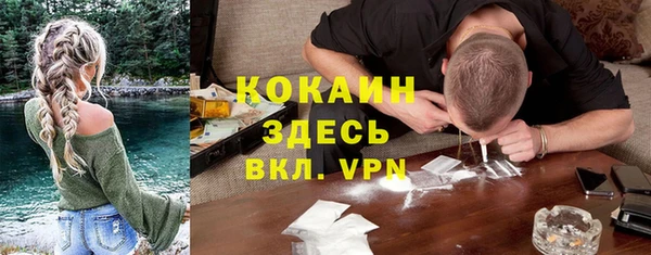 амф Богданович