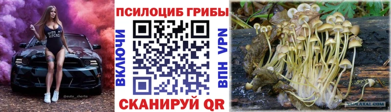 Галлюциногенные грибы Psilocybe  omg зеркало  Данков 